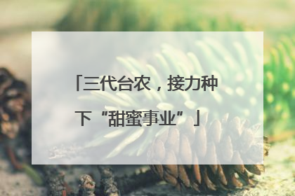 三代台农，接力种下“甜蜜事业”
