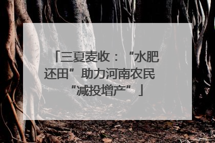 三夏麦收：“水肥还田”助力河南农民“减投增产”