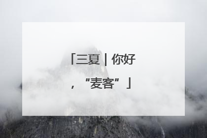 三夏｜你好，“麦客”