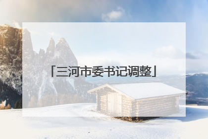 三河市委书记调整