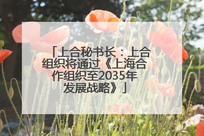 上合秘书长：上合组织将通过《上海合作组织至2035年发展战略》
