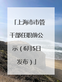 上海市市管干部任职前公示（6月5日发布）