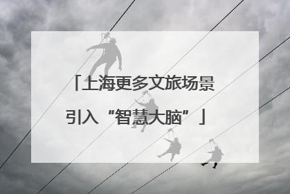 上海更多文旅场景引入“智慧大脑”