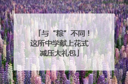 与“粽”不同！这所中学献上花式减压大礼包