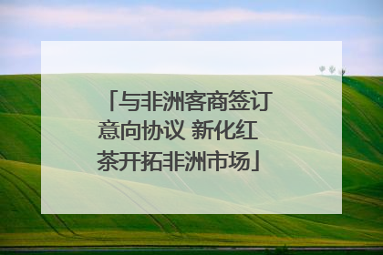 与非洲客商签订意向协议 新化红茶开拓非洲市场