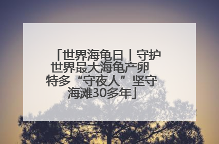 世界海龟日丨守护世界最大海龟产卵 特多“守夜人”坚守海滩30多年