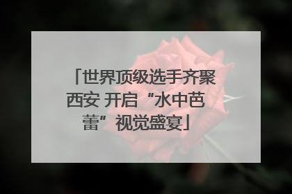 世界顶级选手齐聚西安 开启“水中芭蕾”视觉盛宴