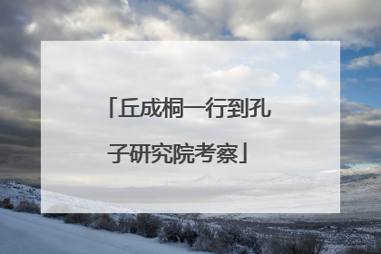 丘成桐一行到孔子研究院考察