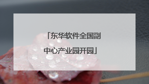 东华软件全国副中心产业园开园