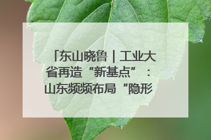 东山晓鲁｜工业大省再造“新基点”：山东频频布局“隐形冠军”背后