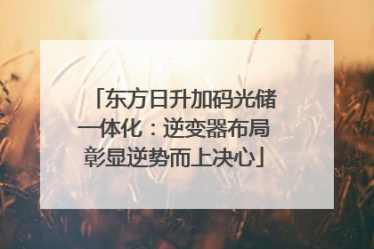 东方日升加码光储一体化：逆变器布局彰显逆势而上决心