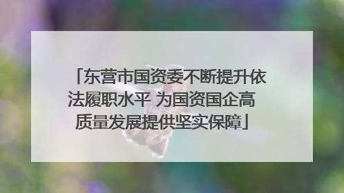 东营市国资委不断提升依法履职水平 为国资国企高质量发展提供坚实保障