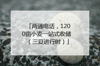 两通电话，1200亩小麦一站式收储（三夏进行时）