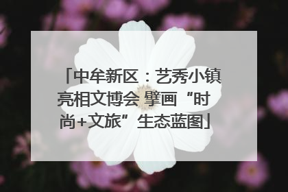 中牟新区：艺秀小镇亮相文博会 擘画“时尚+文旅”生态蓝图