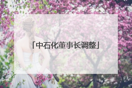 中石化董事长调整