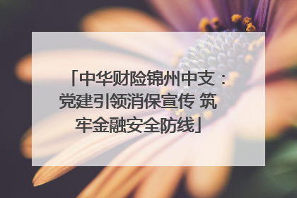 中华财险锦州中支：党建引领消保宣传 筑牢金融安全防线