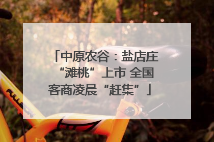 中原农谷：盐店庄“滩桃”上市 全国客商凌晨“赶集”
