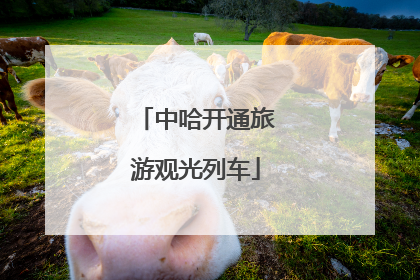中哈开通旅游观光列车