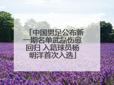 中国男足公布新一期名单武磊伤愈回归 入籍球员杨明洋首次入选