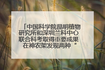 中国科学院昆明植物研究所和深圳兰科中心联合科考取得重要成果 在神农架发现两种“国保”级兰花