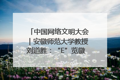中国网络文明大会｜安徽师范大学教授刘道胜：“E”览徽风，构筑中华民族共有精神家园