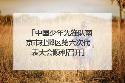 中国少年先锋队南京市建邺区第六次代表大会顺利召开