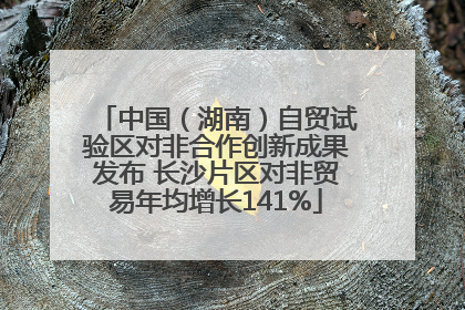 中国（湖南）自贸试验区对非合作创新成果发布 长沙片区对非贸易年均增长141%