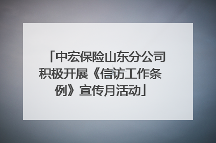 中宏保险山东分公司积极开展《信访工作条例》宣传月活动