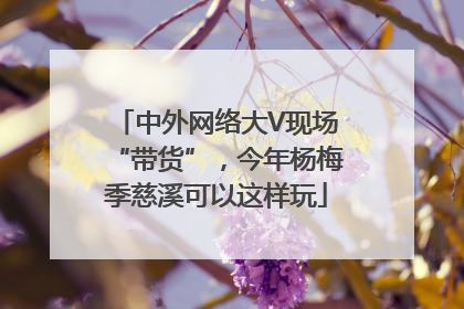 中外网络大V现场“带货”，今年杨梅季慈溪可以这样玩