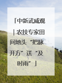 中新武威观｜农技专家田间地头“把脉开方”送“及时雨”