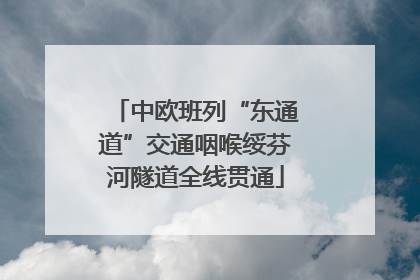 中欧班列“东通道”交通咽喉绥芬河隧道全线贯通