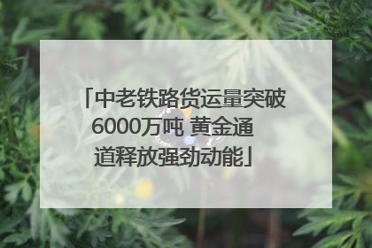 中老铁路货运量突破6000万吨 黄金通道释放强劲动能