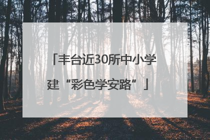 丰台近30所中小学建“彩色学安路”