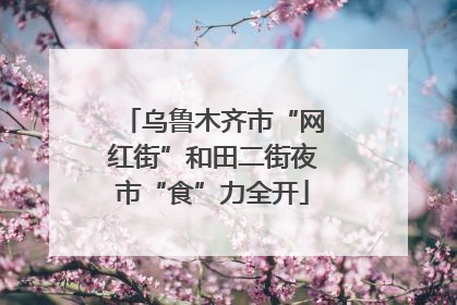 乌鲁木齐市“网红街”和田二街夜市“食”力全开