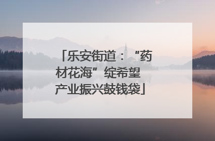 乐安街道：“药材花海”绽希望 产业振兴鼓钱袋
