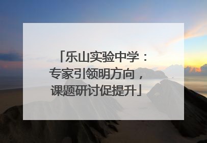 乐山实验中学：专家引领明方向，课题研讨促提升