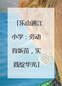 乐山通江小学：劳动育新苗，实践绽华光