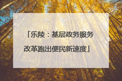 乐陵：基层政务服务改革跑出便民新速度
