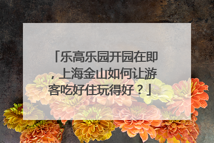 乐高乐园开园在即，上海金山如何让游客吃好住玩得好？