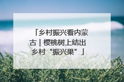 乡村振兴看内蒙古｜樱桃树上结出乡村“振兴果”