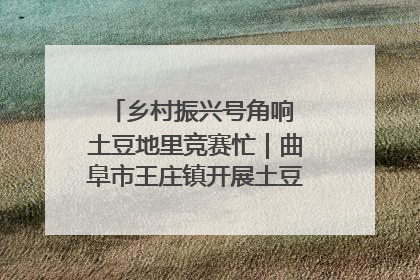 乡村振兴号角响 土豆地里竞赛忙｜曲阜市王庄镇开展土豆收获劳动竞赛