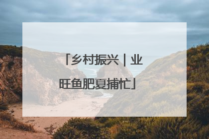 乡村振兴｜业旺鱼肥夏捕忙