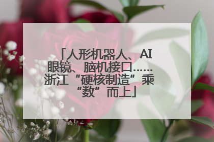 人形机器人、AI眼镜、脑机接口……浙江“硬核制造”乘“数”而上