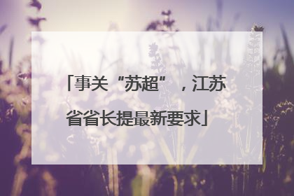 事关“苏超”，江苏省省长提最新要求