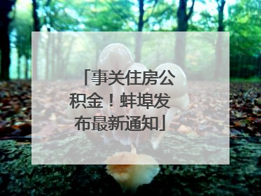 事关住房公积金！蚌埠发布最新通知