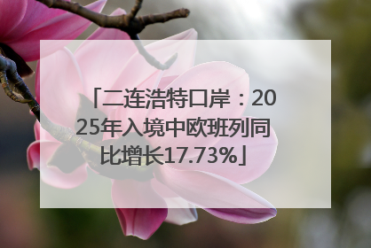 二连浩特口岸：2025年入境中欧班列同比增长17.73%