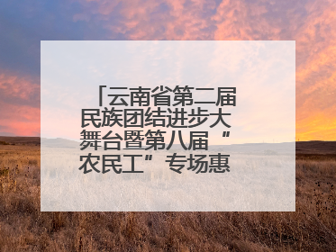 云南省第二届民族团结进步大舞台暨第八届“农民工”专场惠民演出启幕