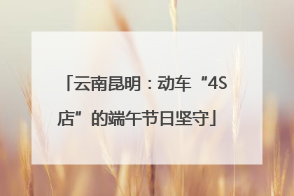 云南昆明：动车“4S店”的端午节日坚守