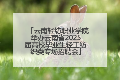 云南轻纺职业学院举办云南省2025届高校毕业生轻工纺织类专场招聘会
