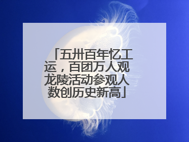 五卅百年忆工运，百团万人观龙陵活动参观人数创历史新高